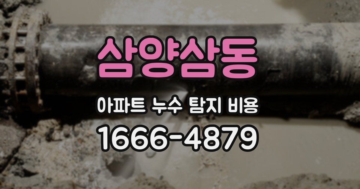 삼양삼동 아파트 누수 탐지 비용