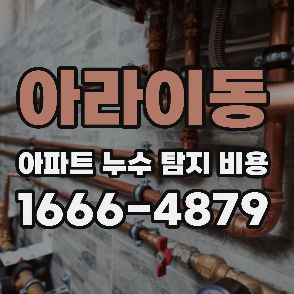 아라이동 아파트 누수 탐지 비용