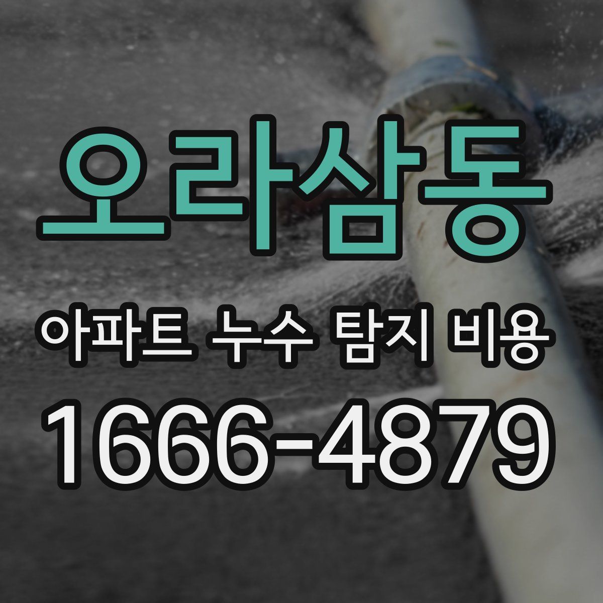 오라삼동 아파트 누수 탐지 비용