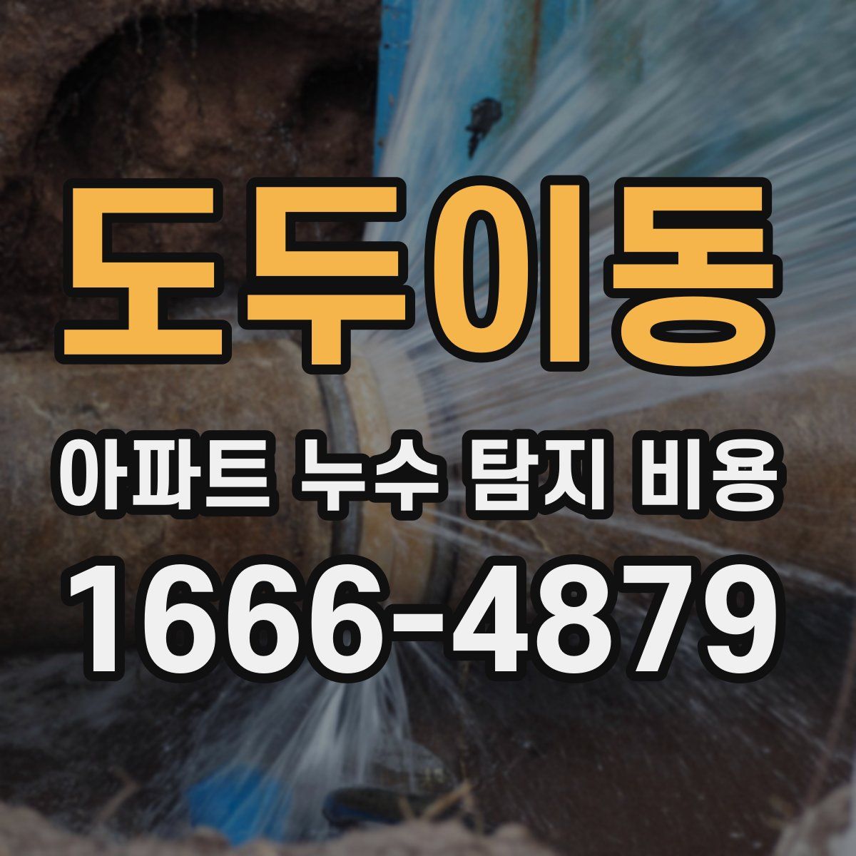 도두이동 아파트 누수 탐지 비용