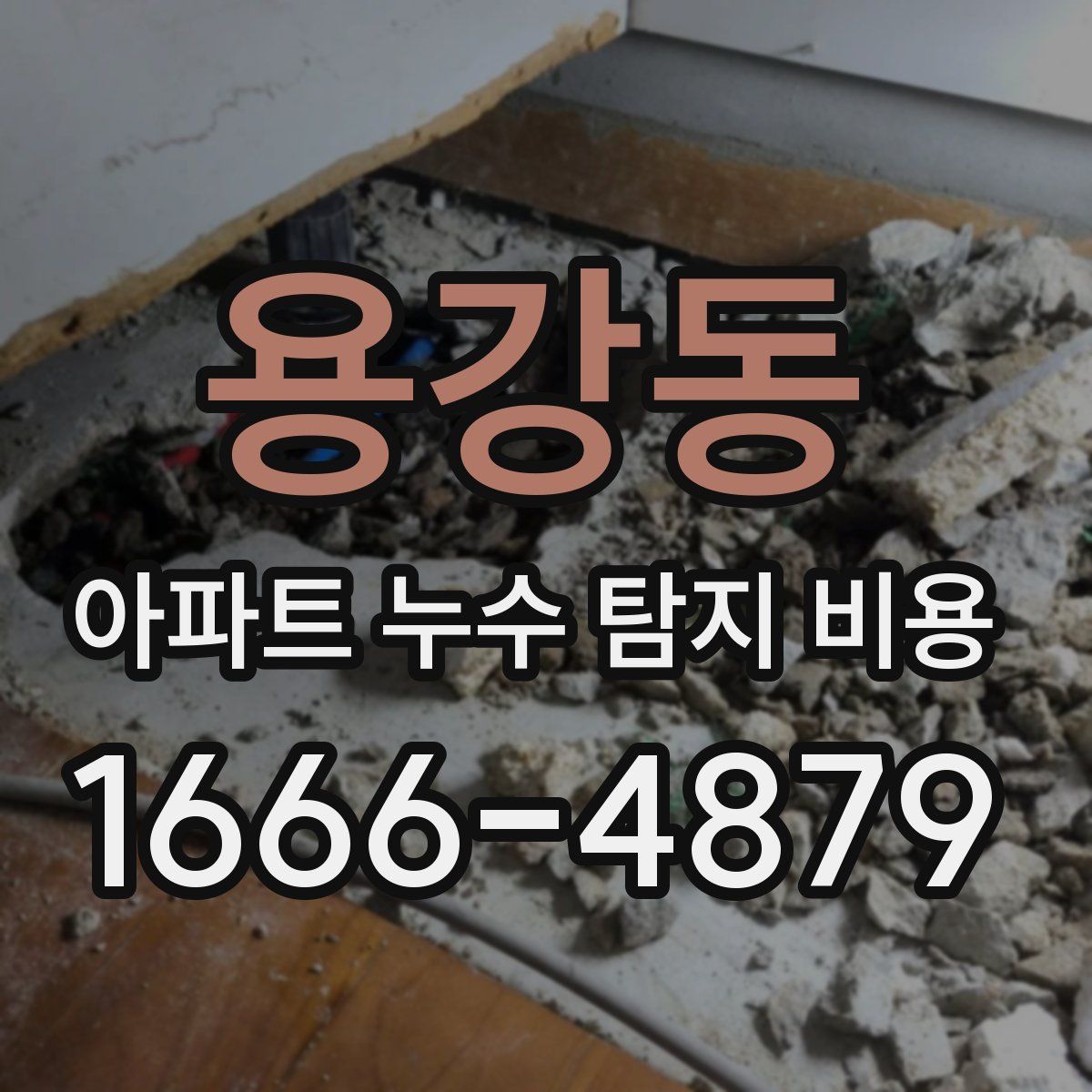 용강동 아파트 누수 탐지 비용