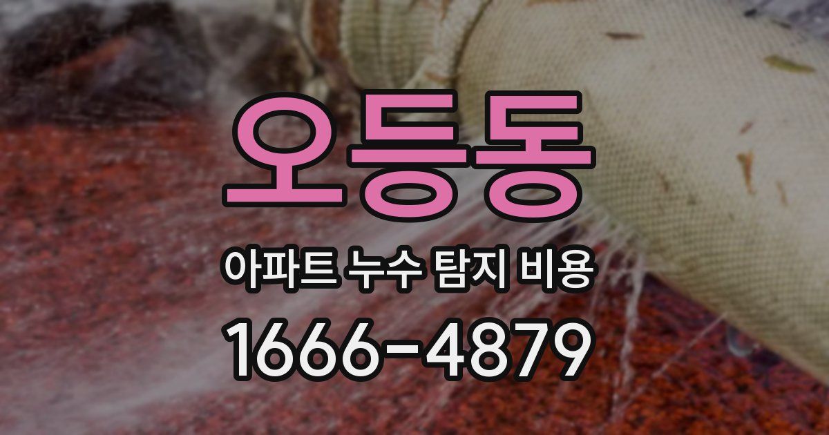 오등동 아파트 누수 탐지 비용