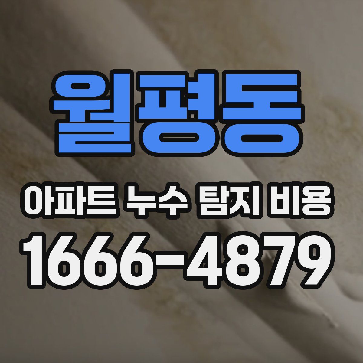 월평동 아파트 누수 탐지 비용