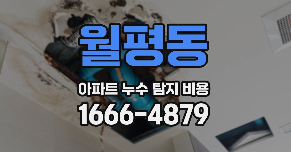 월평동 아파트 누수 탐지 비용