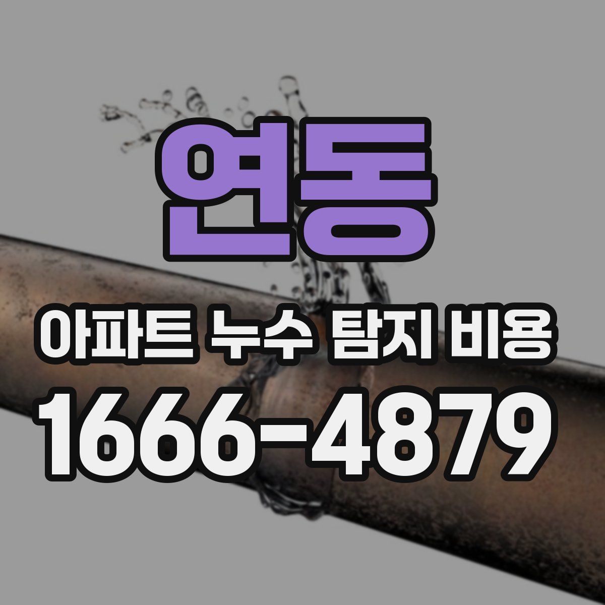 연동 아파트 누수 탐지 비용