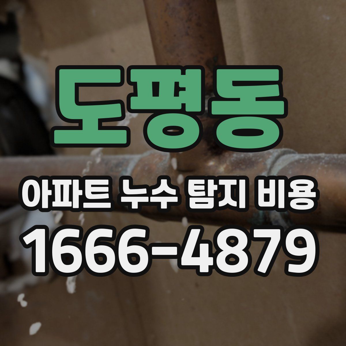도평동 아파트 누수 탐지 비용