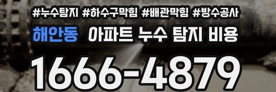 해안동 아파트 누수 탐지 비용
