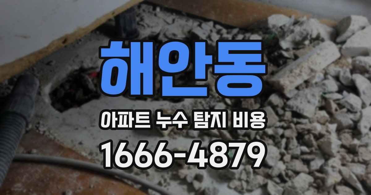 해안동 아파트 누수 탐지 비용