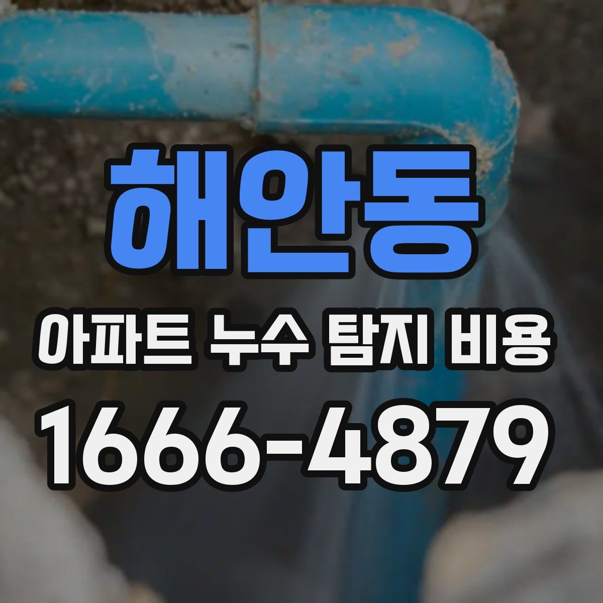 해안동 아파트 누수 탐지 비용