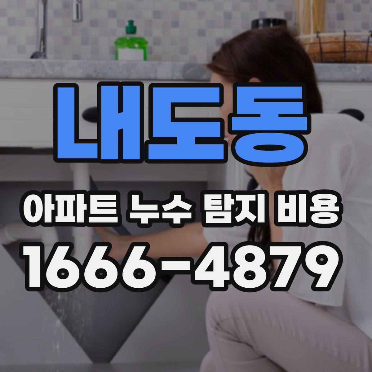 내도동 아파트 누수 탐지 비용