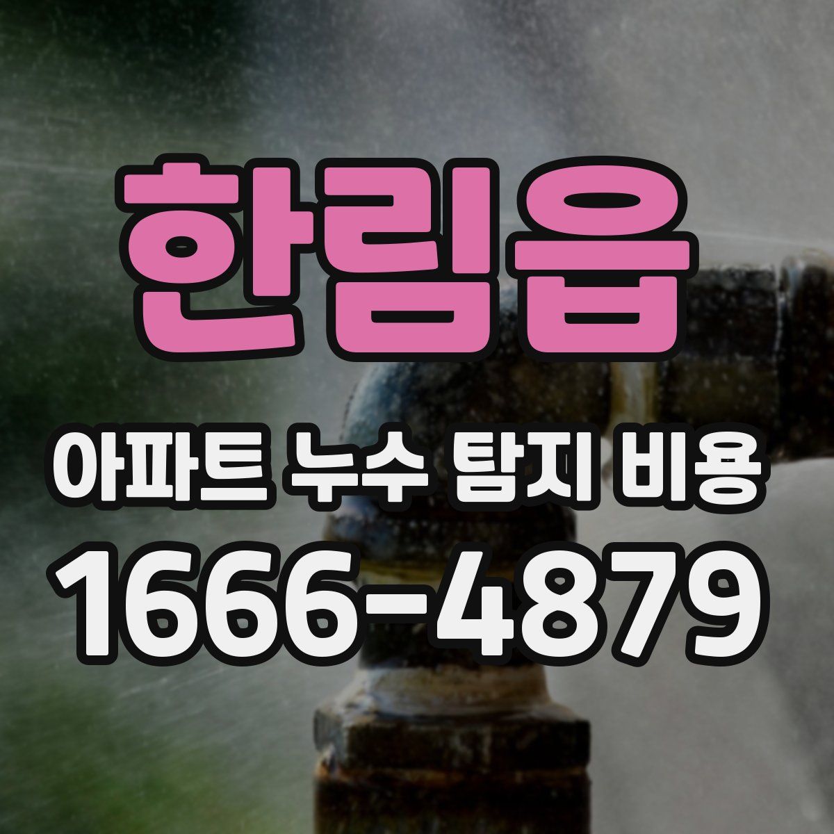 한림읍 아파트 누수 탐지 비용
