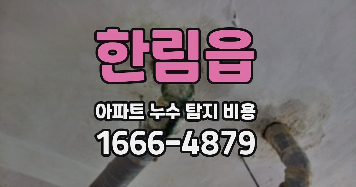 한림읍 아파트 누수 탐지 비용