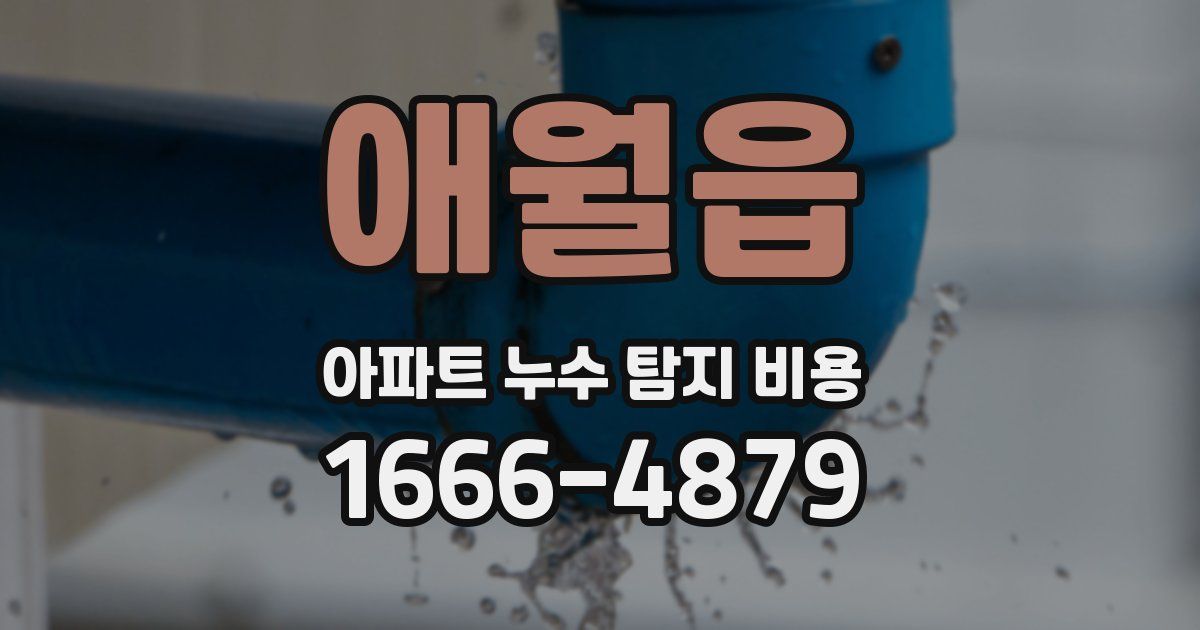 애월읍 아파트 누수 탐지 비용