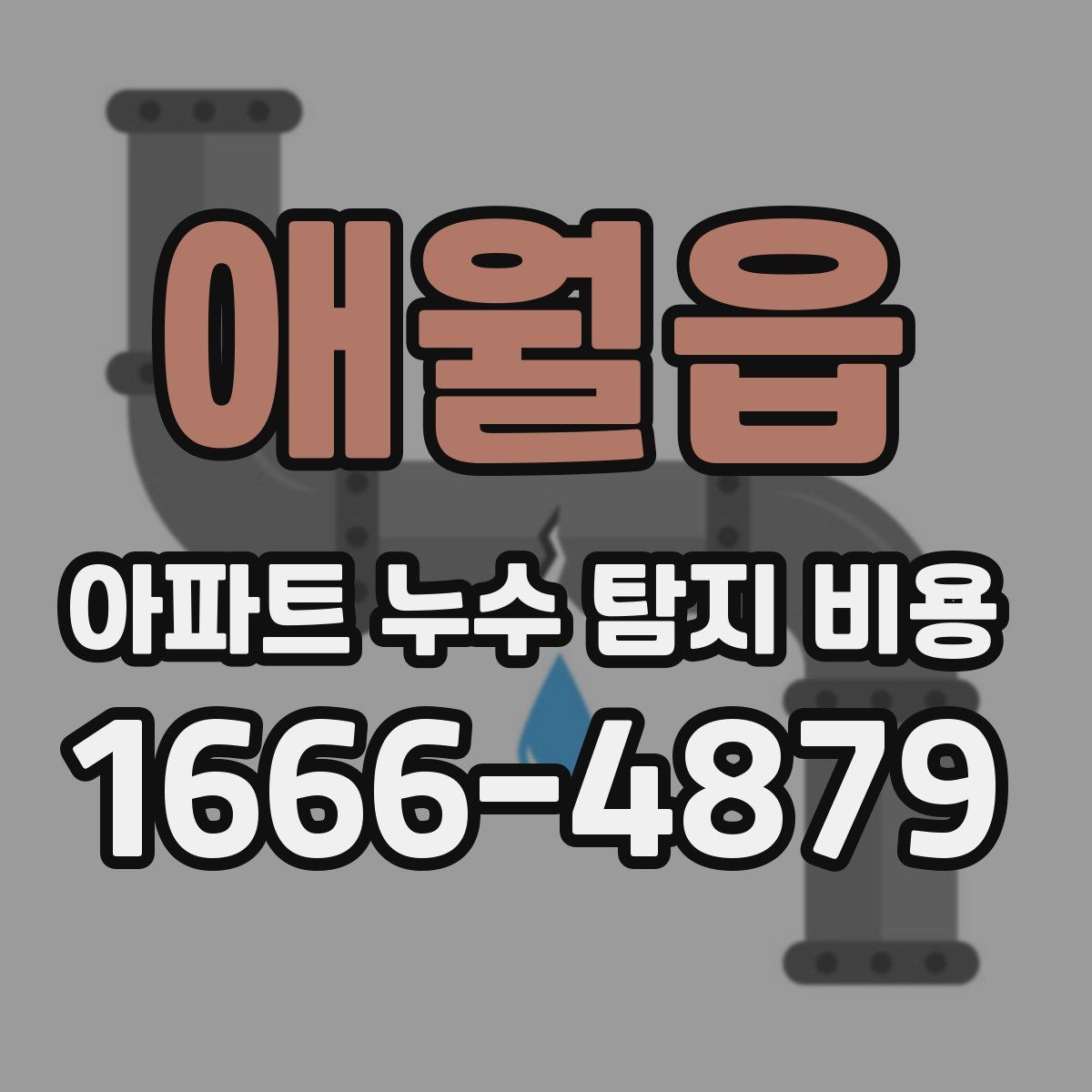 애월읍 아파트 누수 탐지 비용