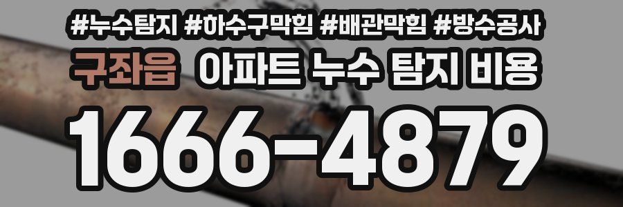 구좌읍 아파트 누수 탐지 비용