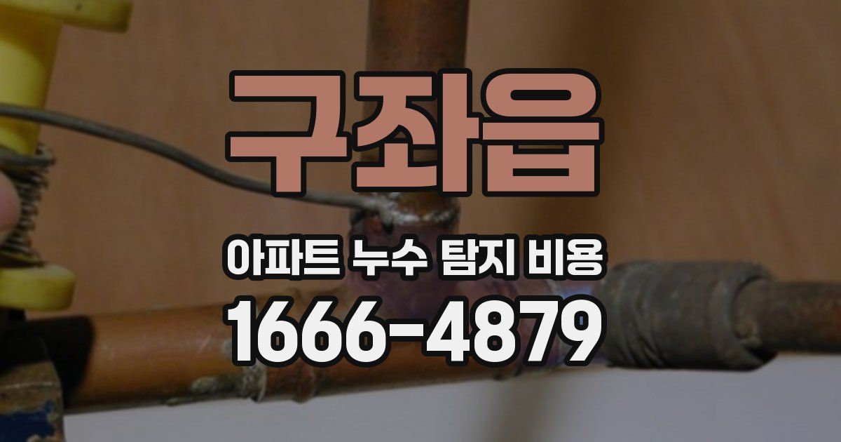 구좌읍 아파트 누수 탐지 비용