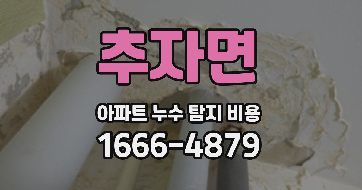 추자면 아파트 누수 탐지 비용