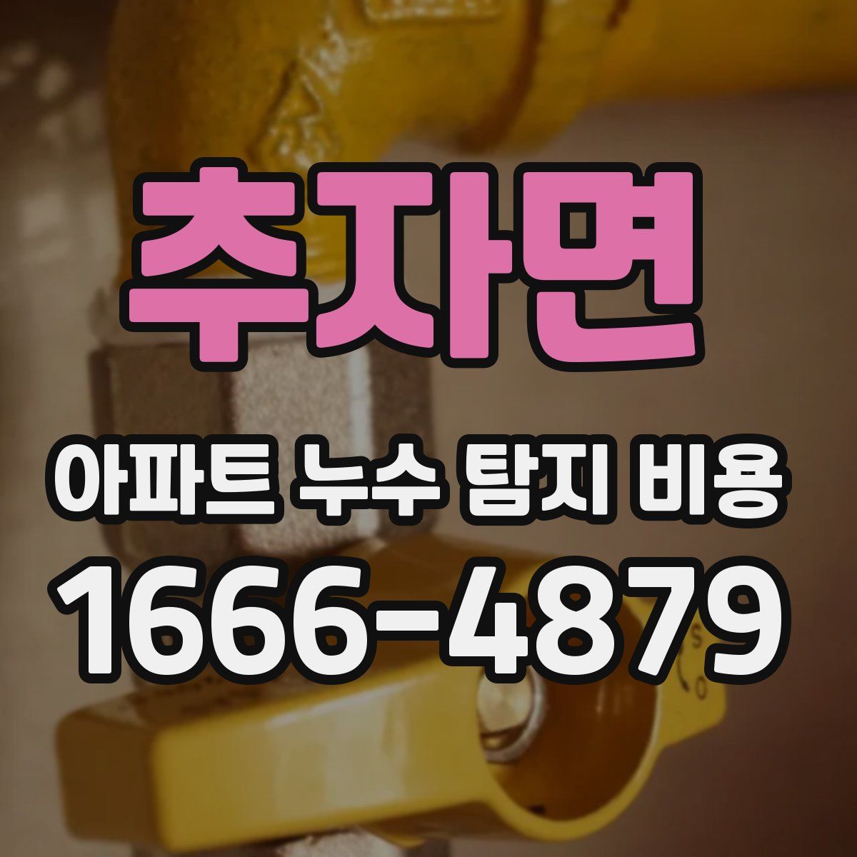 추자면 아파트 누수 탐지 비용