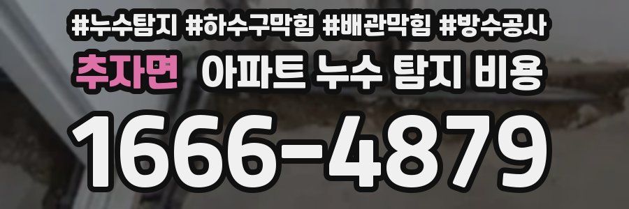 추자면 아파트 누수 탐지 비용