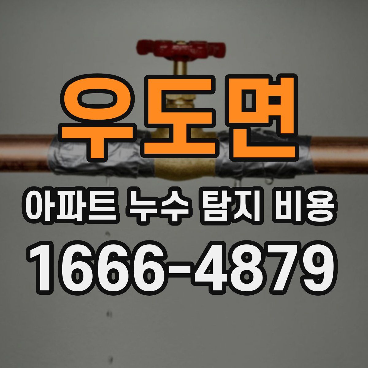 우도면 아파트 누수 탐지 비용