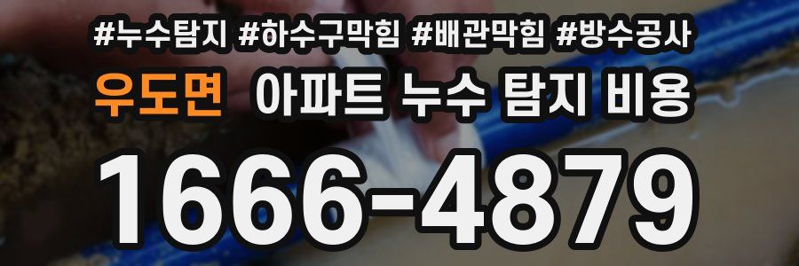 우도면 아파트 누수 탐지 비용