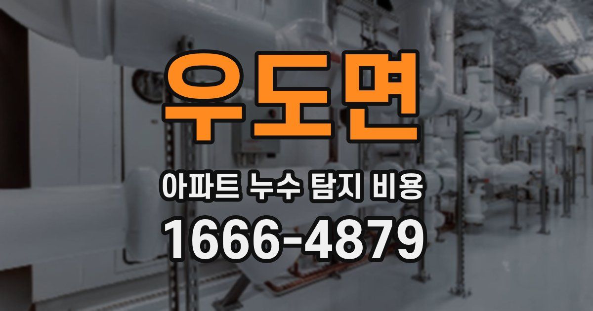 우도면 아파트 누수 탐지 비용
