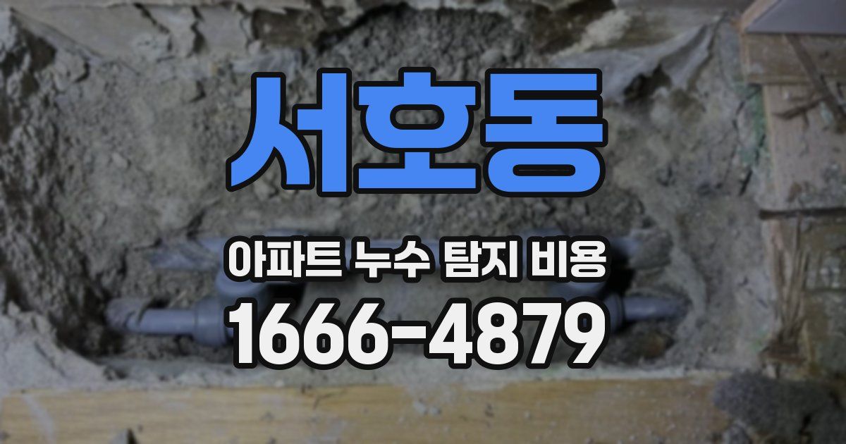 서호동 아파트 누수 탐지 비용