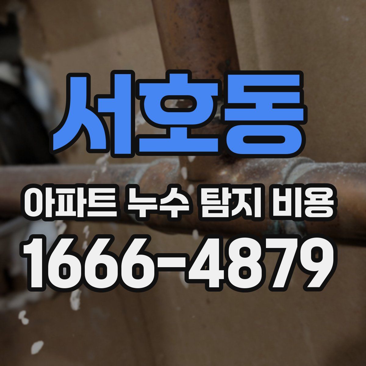 서호동 아파트 누수 탐지 비용