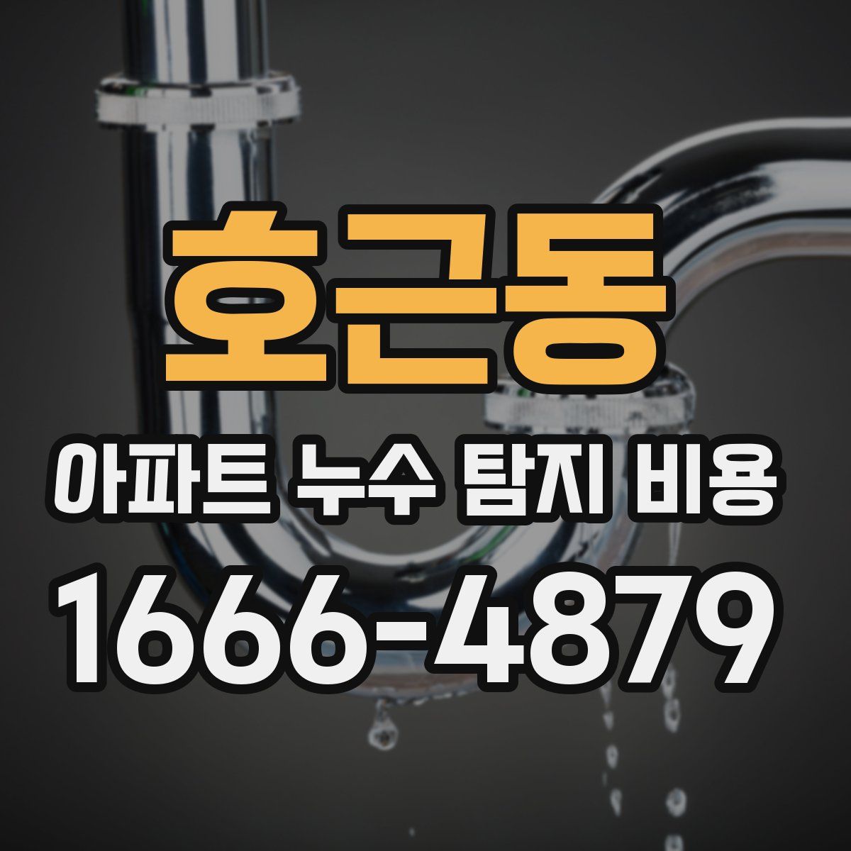 호근동 아파트 누수 탐지 비용