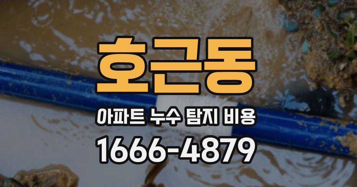 호근동 아파트 누수 탐지 비용