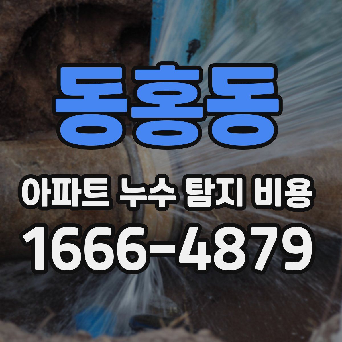 동홍동 아파트 누수 탐지 비용