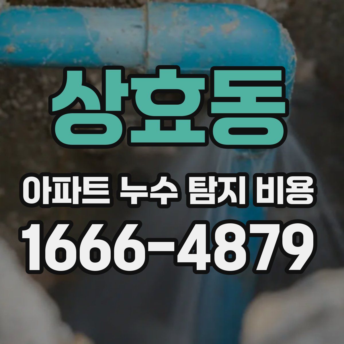 상효동 아파트 누수 탐지 비용