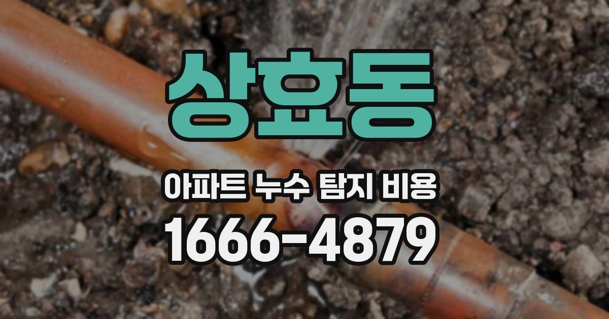 상효동 아파트 누수 탐지 비용