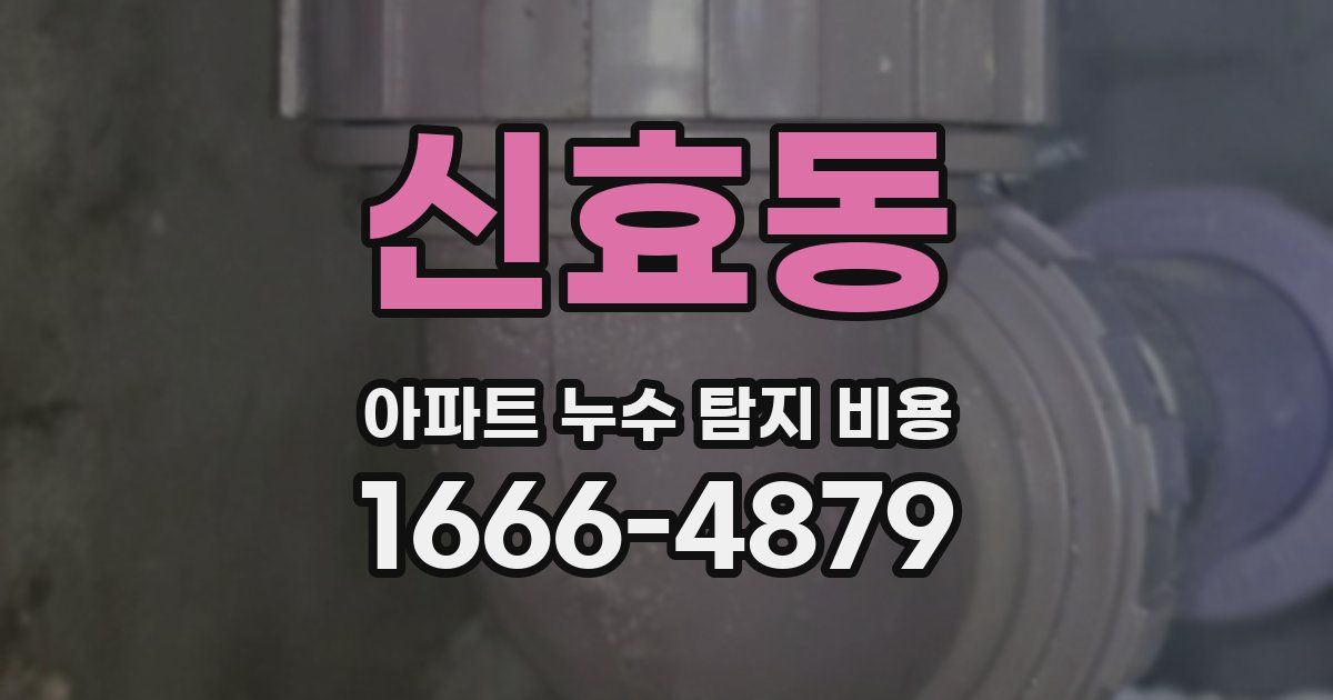 신효동 아파트 누수 탐지 비용