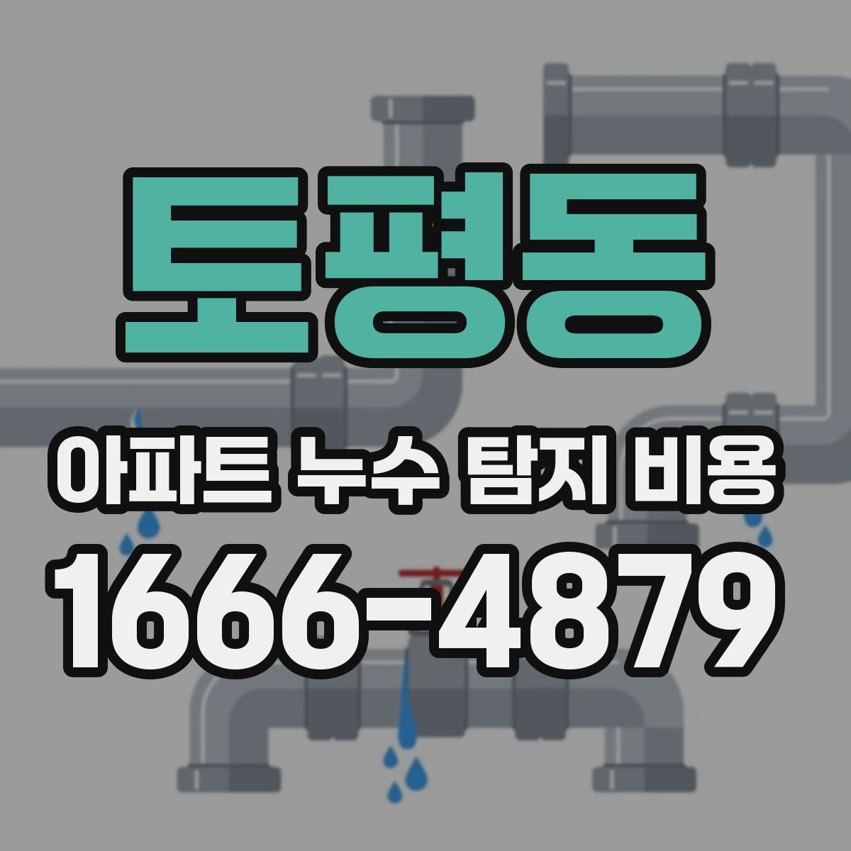 토평동 아파트 누수 탐지 비용