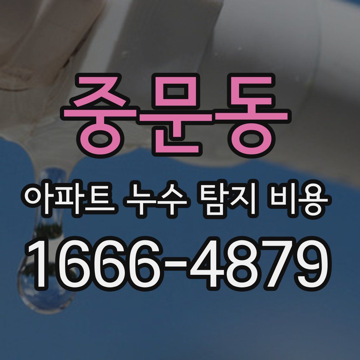 중문동 아파트 누수 탐지 비용