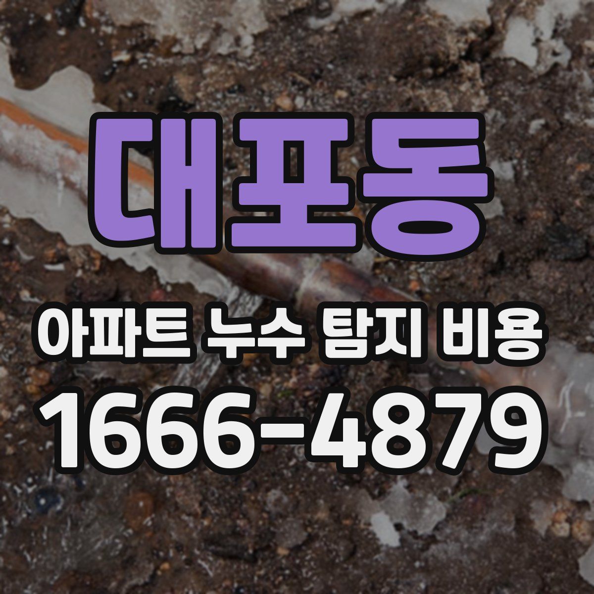 대포동 아파트 누수 탐지 비용