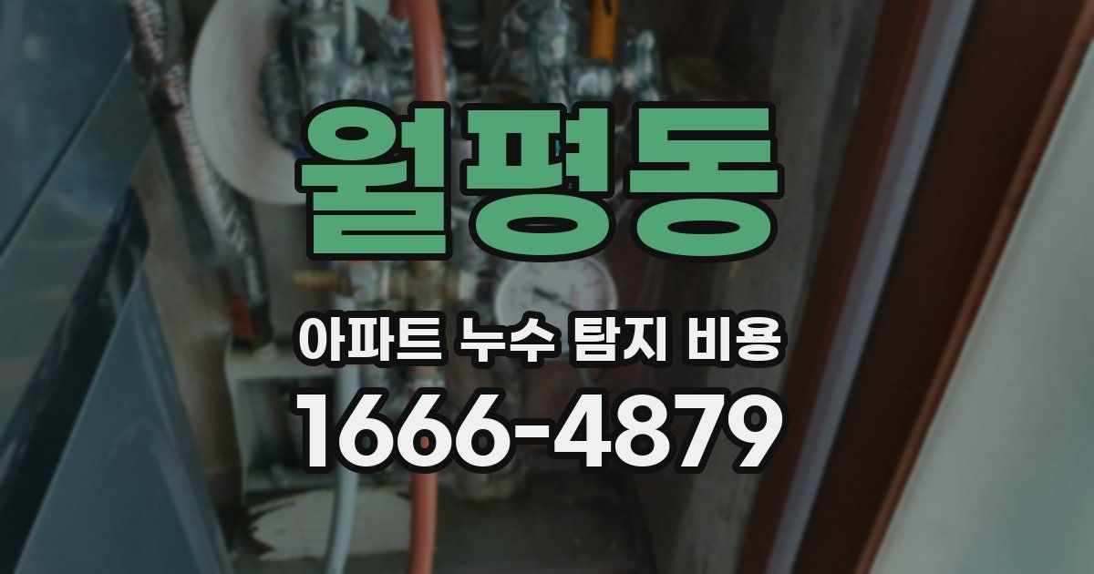 월평동 아파트 누수 탐지 비용