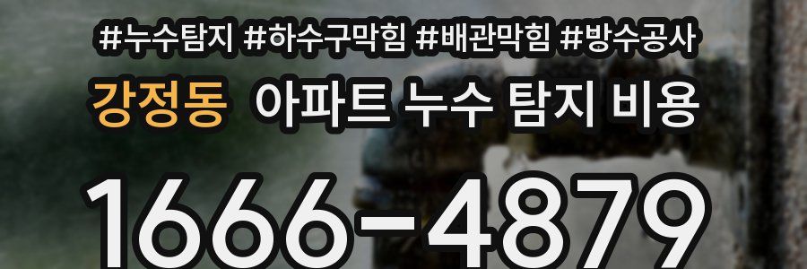 강정동 아파트 누수 탐지 비용