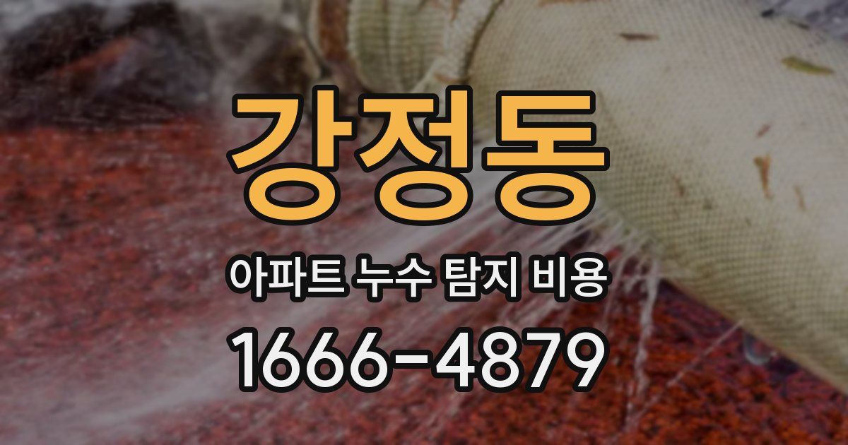 강정동 아파트 누수 탐지 비용