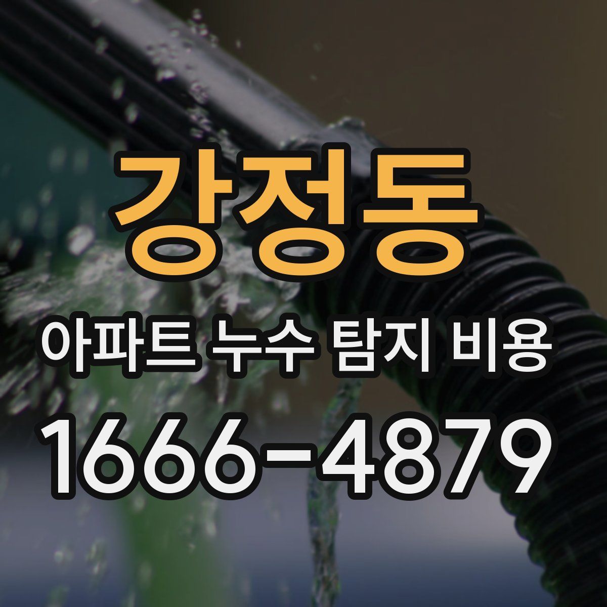 강정동 아파트 누수 탐지 비용