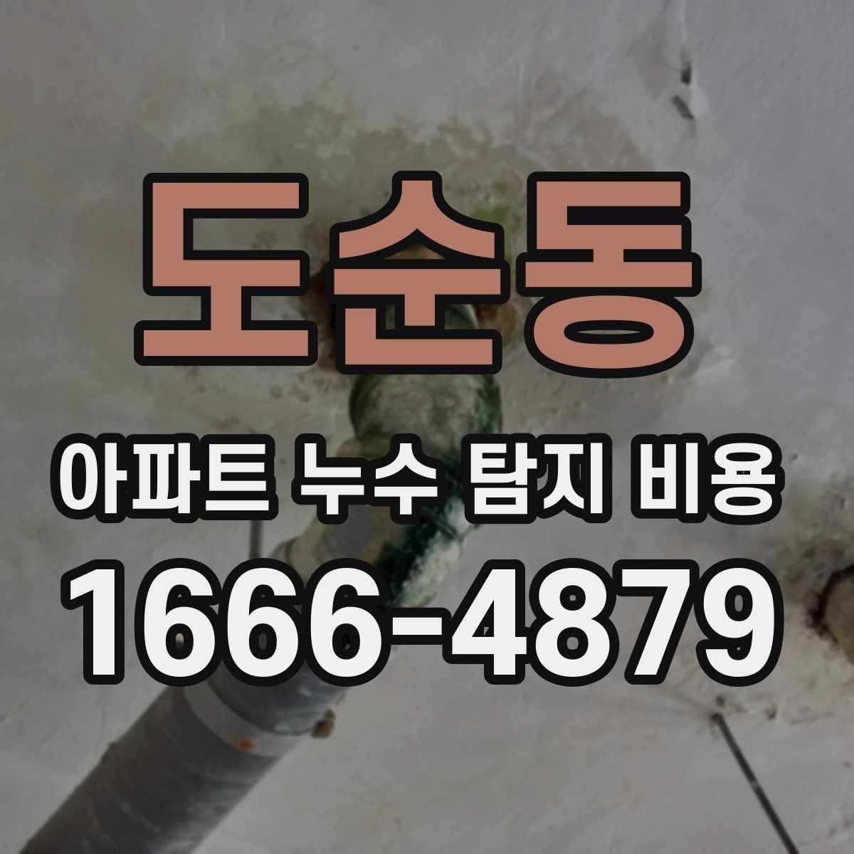 도순동 아파트 누수 탐지 비용
