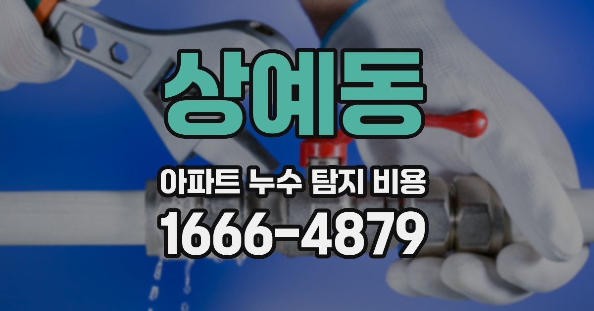 상예동 아파트 누수 탐지 비용
