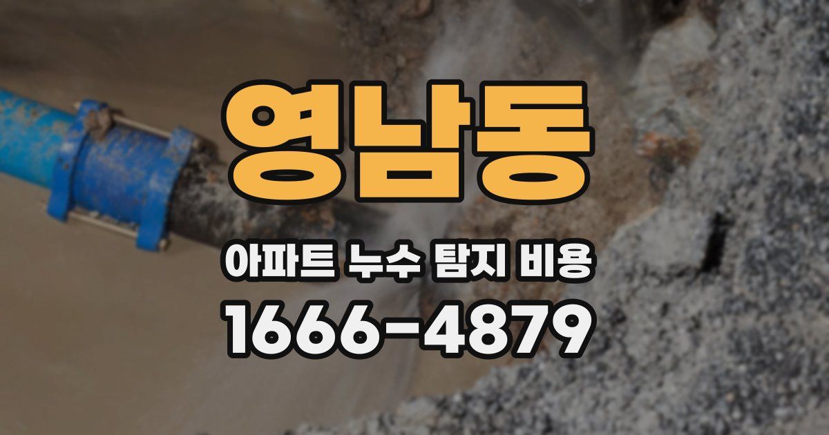 영남동 아파트 누수 탐지 비용