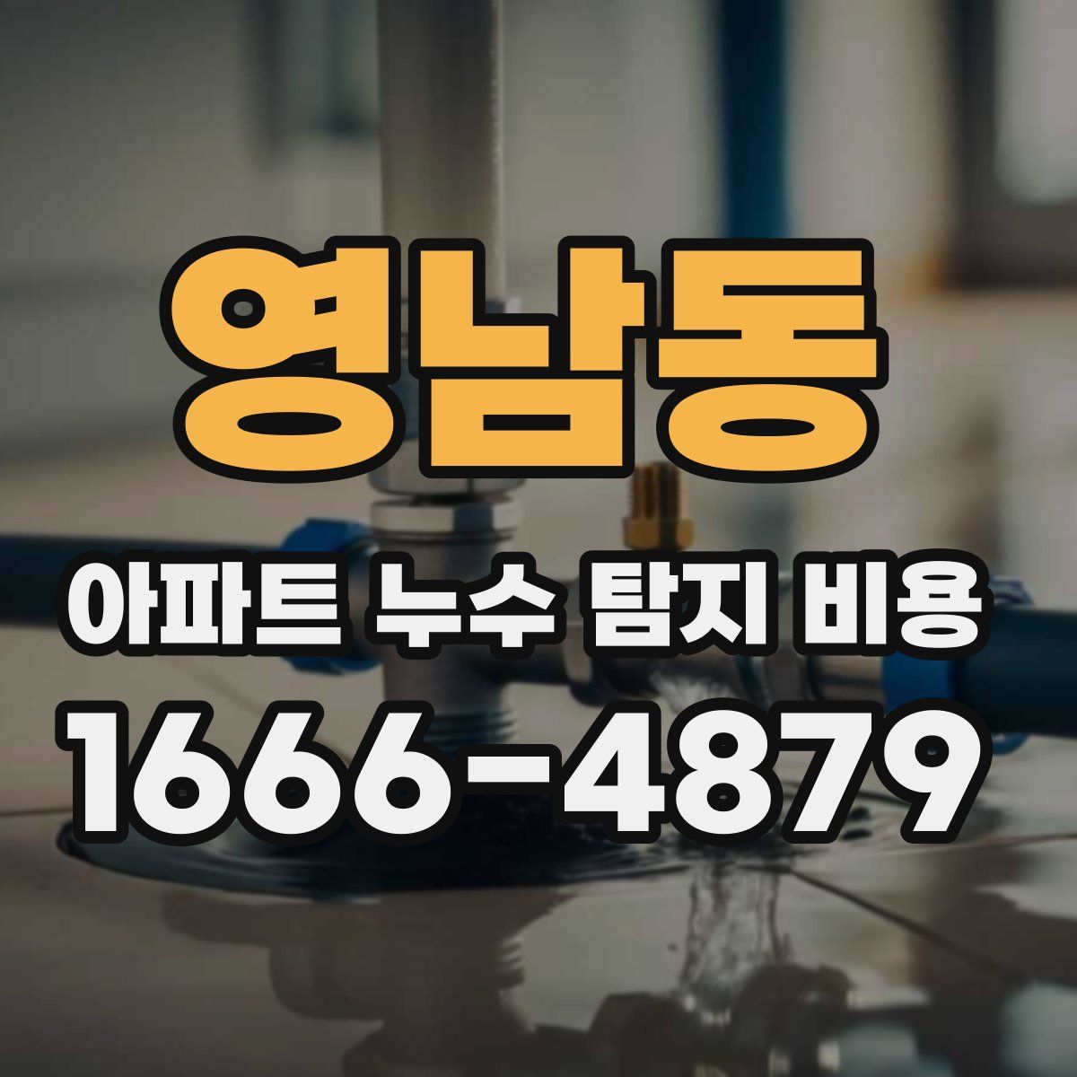 영남동 아파트 누수 탐지 비용