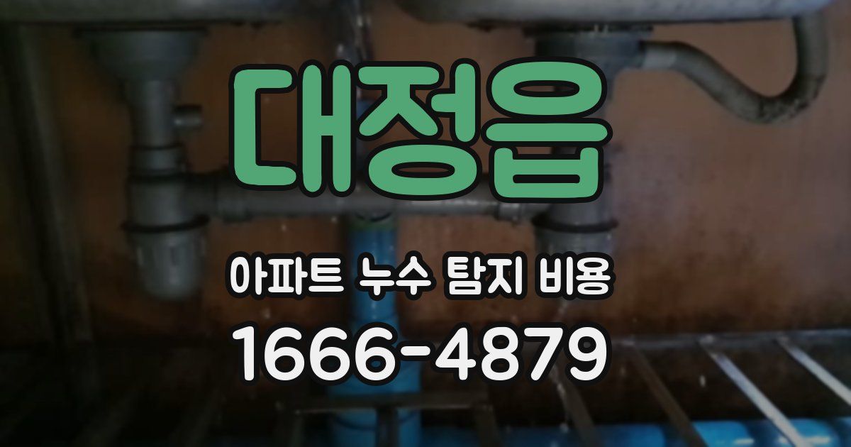 대정읍 아파트 누수 탐지 비용