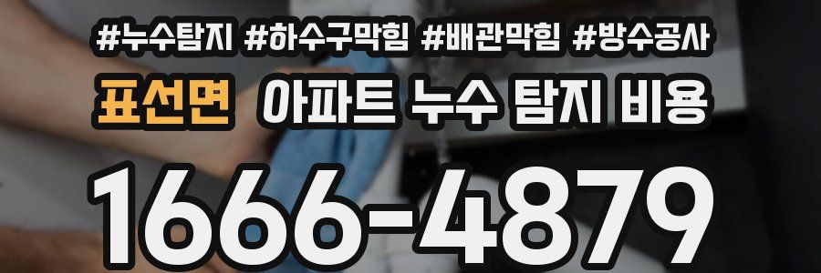 표선면 아파트 누수 탐지 비용