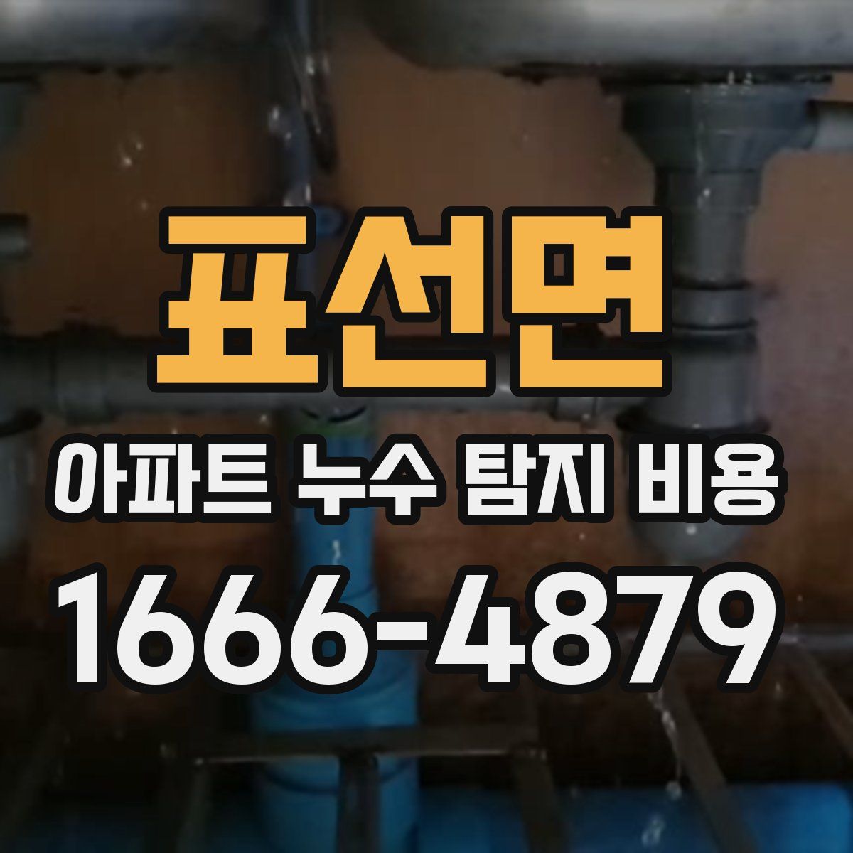 표선면 아파트 누수 탐지 비용
