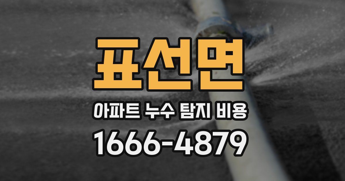 표선면 아파트 누수 탐지 비용