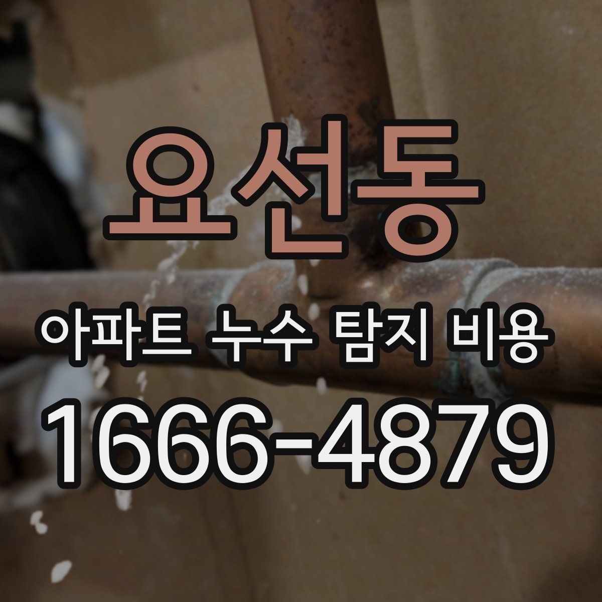 요선동 아파트 누수 탐지 비용